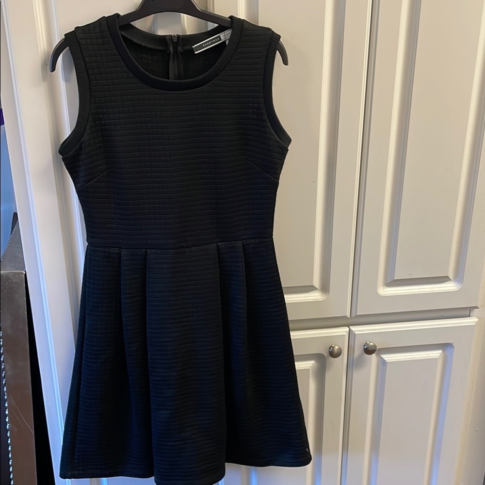 Sleeveless Black Skater Dress